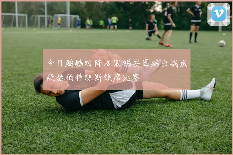 今日鹈鹕对阵活塞锡安因病出战成疑赫伯特琼斯缺席比赛