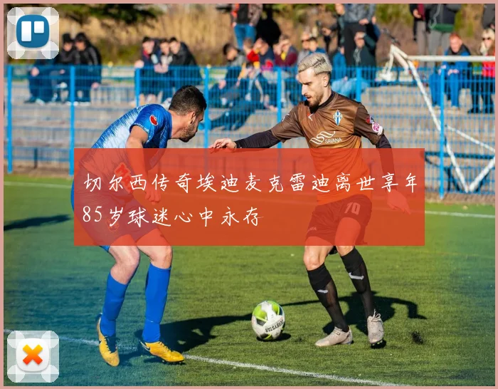 切尔西传奇埃迪麦克雷迪离世享年85岁球迷心中永存